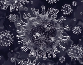 Coronavirus Update